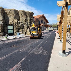 Lion Exhibit Construction