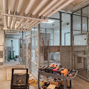 Lion Exhibit Construction - Holding