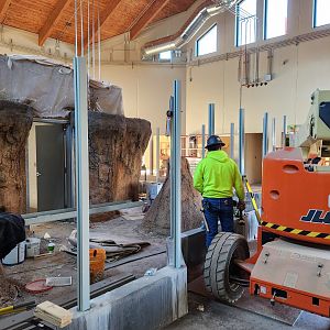 Construction - Indoor Meerkat exhibit and Lion indoor viewing