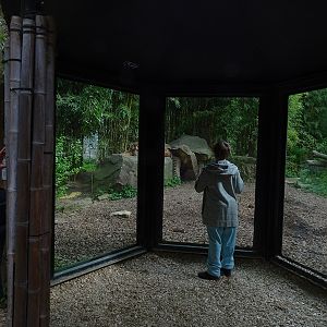 Main tiger enclosure