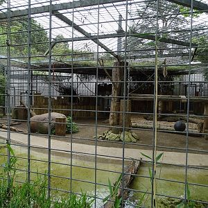Second tiger enclosure