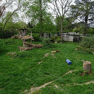 Lion enclosure, seen from elevated observation deck