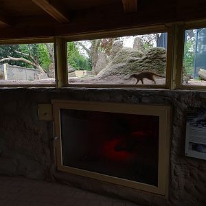 Meerkat/porcupine enclosure