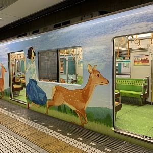 Nara Train