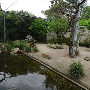 European walkthrough aviary