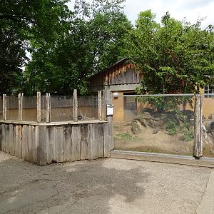 Prairie dog enclosure