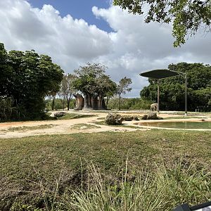 Apr. 2024 - Asian Elephant Exhibits