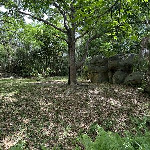 Apr. 2024 - Black-Crowned Crane Exhibit