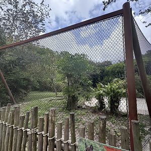 Apr. 2024 - Serval Exhibit