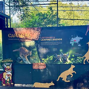 Caracal Signage