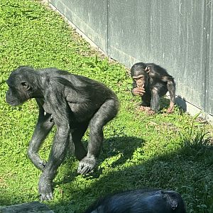 Sanda and Kendi (Mother and Daughter)