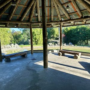 Sumatran Tiger Exhibit (Panorama Window)
