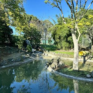 Sumatran Tiger Exhibit (Waterfall)