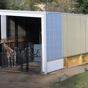 Giraffe house