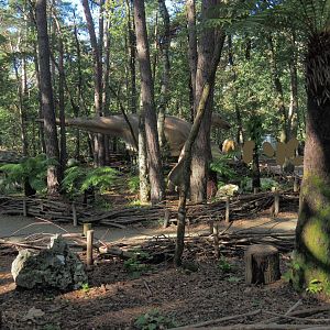 View in the Dino Forest, 2023-09-24