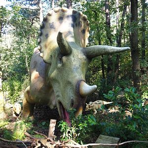 Dino Forest - Triceratops models, 2023-09-24