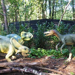 Dino Forest - Protoceratops and Velociraptor stand-off models, 2023-09-24