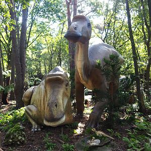 Dino Forest - Maiasaura peeblesorum models, 2023-09-24