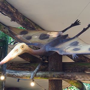 Dino Forest - Pterosaur model, 2023-09-24
