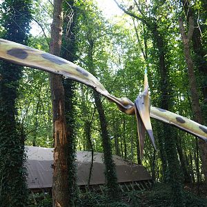 Dino Forest - Pteranodon model, 2023-09-24