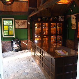 Native bird education area - Interior displays, 2023-09-24