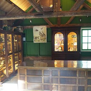 Native bird education area - Interior displays, 2023-09-24