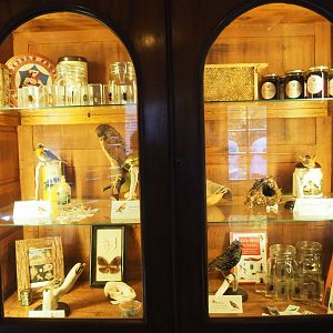 Display case in the native bird education area, 2023-09-24
