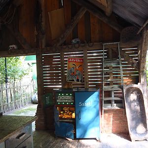 Native bird education area, 2023-09-24