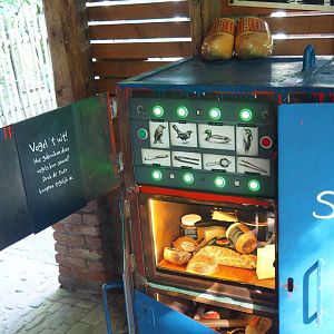 Bird beaks display, 2023-09-24