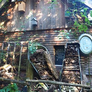 Barn wall with nesting boxes and insect hotels, 2023-09-24