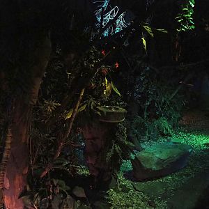 View in 'De Nacht' ('The Night') nocturnal house, 2023-09-24