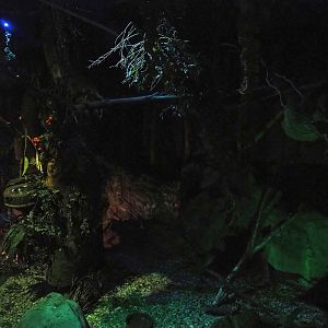 View in 'De Nacht' ('The Night') nocturnal house, 2023-09-24