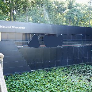 100.000 Animals House (Reptiles, Amphibian, Leafcutter ants and Museum space), 2023-09-24