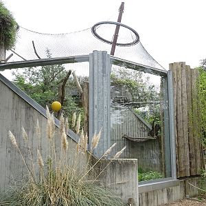 Chimpanzee outdoor enclosure