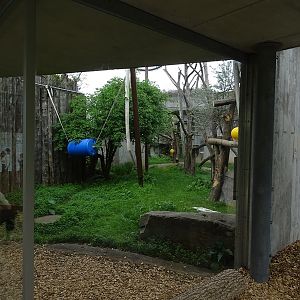 Chimpanzee outdoor enclosure