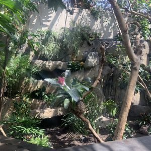 Renovated amazon gallery