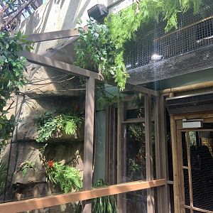 Renovated amazon gallery