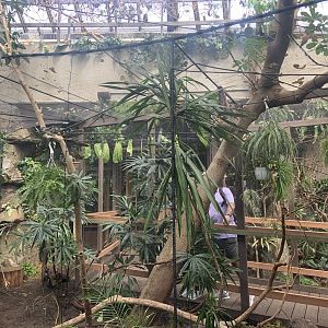 Renovated amazon gallery