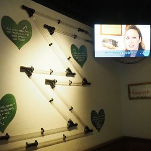 Leafcutter ant colony tubes (Exhibit goes throughout the building), 2023-09-24