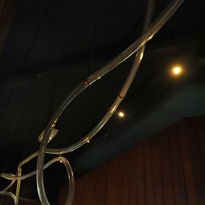 Leafcutter ant colony tubes (Exhibit goes throughout the building), 2023-09-24