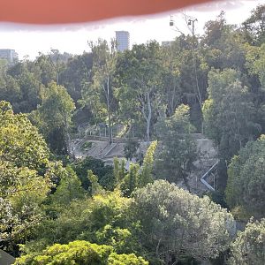 Panda Trek Construction 5/3/24