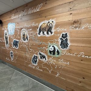 Completed Bear Wall In The Cafe