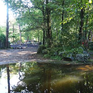 Indian rhinoceros paddock, 2023-09-24