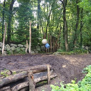 Indian rhinoceros paddock, 2023-09-24