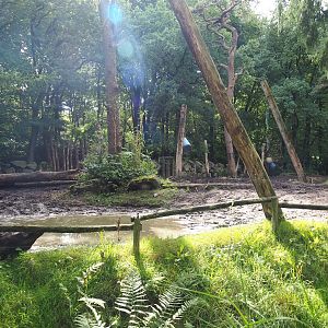 Indian rhinoceros paddock, 2023-09-24