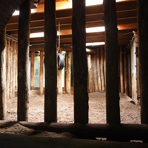 Indian rhinoceros indoor paddock, 2023-09-24