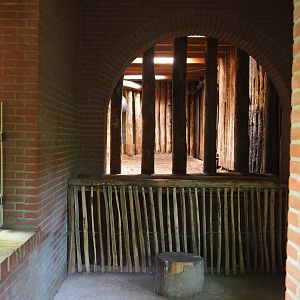 Indian rhinoceros indoor paddock and indoor pool viewing areas, 2023-09-24