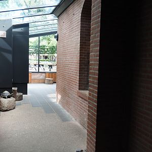 View in Indian rhinoceros house, 2023-09-24