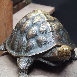 Tortoise statue, 2023-09-24