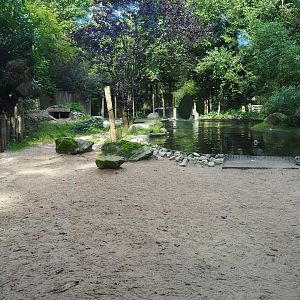 African penguin exhibit, 2023-09-24